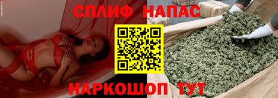 гидра Ипатово