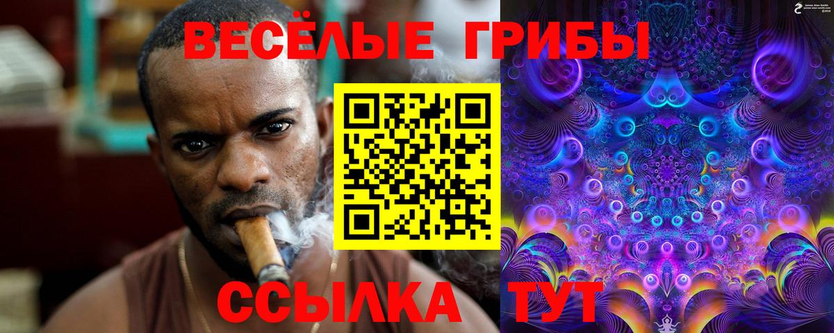 Псилоцибиновые грибы GOLDEN TEACHER Владивосток