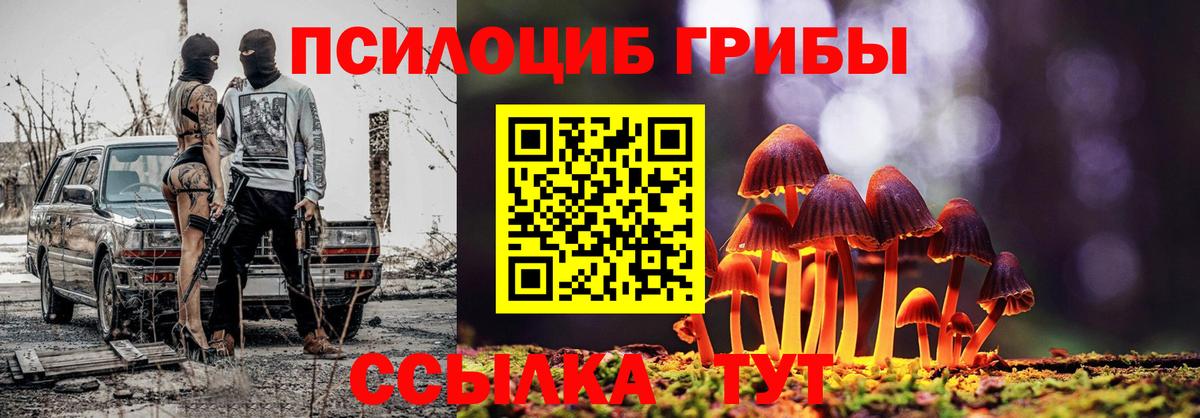 Владивосток  Псилоцибиновые грибы Psilocybine cubensis  Вход с VPN 